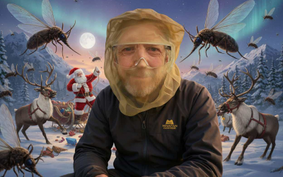 Midges, Reindeer and a Frisky Santa